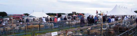 Caithness County Show